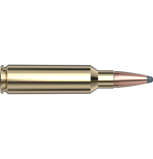 300 WSM 165GR WHITETAIL HORNADY