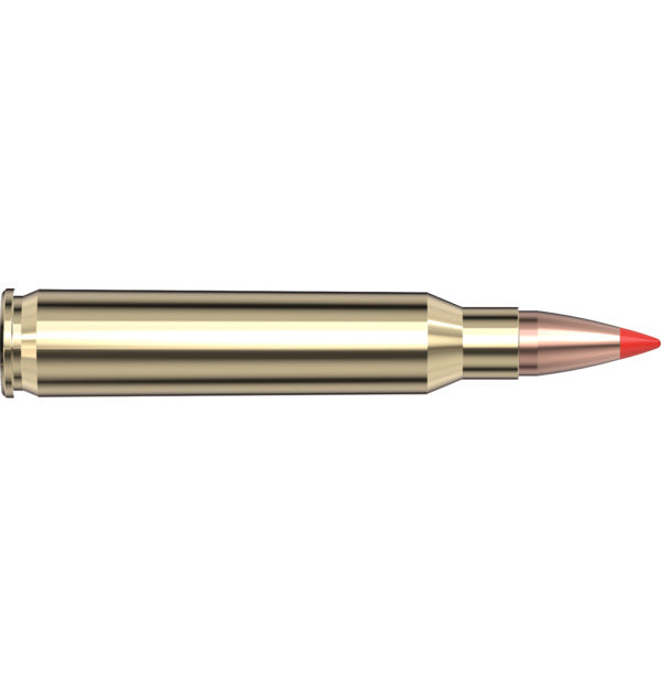 223 Rem 55 V Max HORNADY