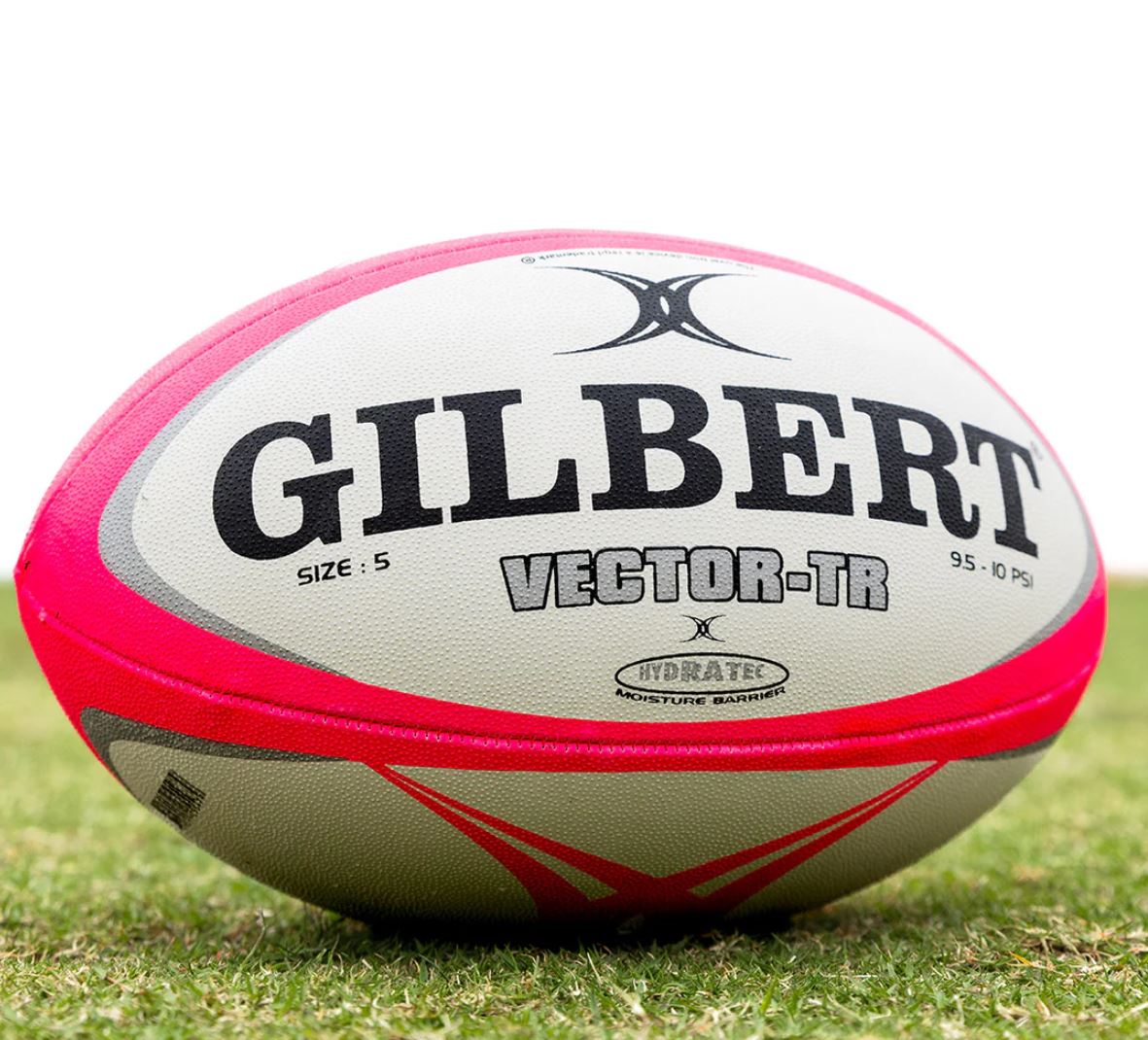 Gilbert VECTOR -SIZE 5