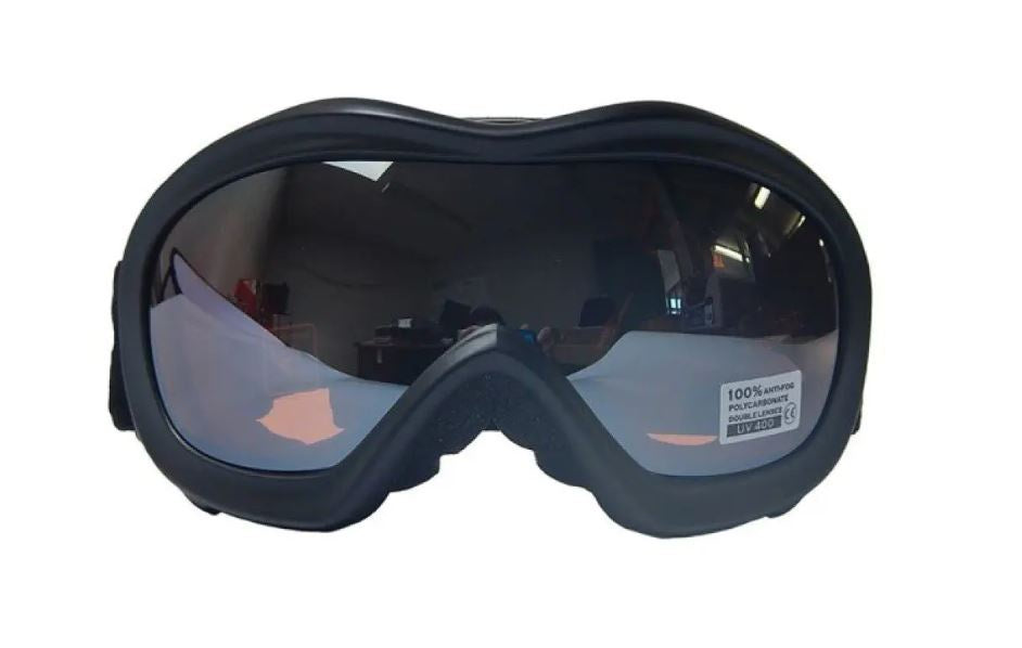 FREERIDER GOGGLES ADULT